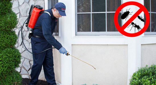 Koyulhisar Kene İlaçlama böcek ilaçlama ve haşere kontrolü — ilaclama-tr.com